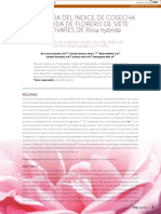 Influencia Del Índice de Cosecha en La Vida de Florero de Siete CULTIVARES DE Rosa Hybrida