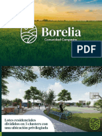 Brochure Borelia Julio 7 2022 - Compressed