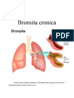bronsita cronica - igiena