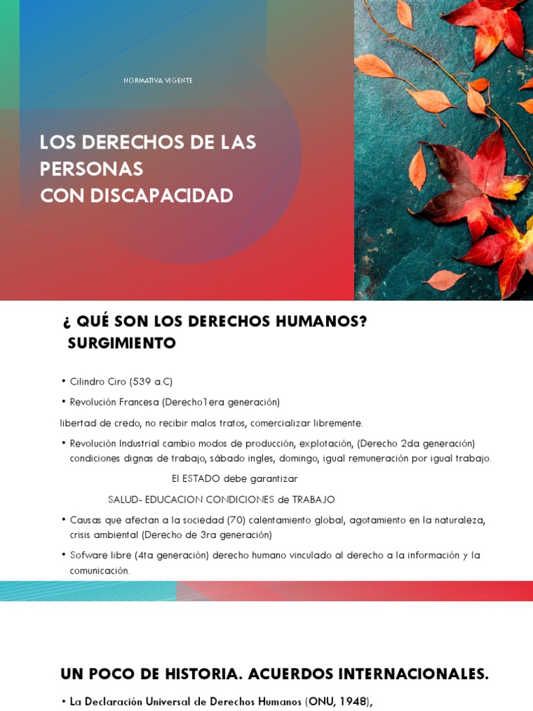 Los Derechos de Las Personas Con Discapacidad | PDF | Invalidez ...