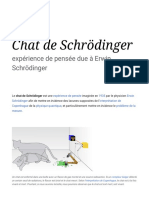 Chat de Schrödinger