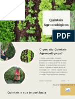 Quintais agroecológicos e sua importância