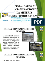 Cexpocicion Contaminacion