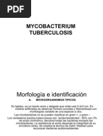 Download Mycobacterium Tuberculosis by edupomar SN59115748 doc pdf