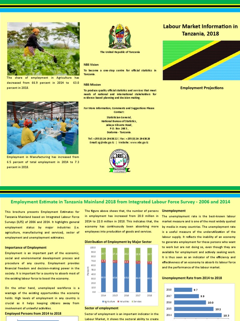 Employment Estimates For Tanzania Mainland 2018 PDF Unemployment
