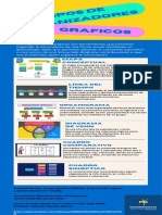 Pieza Grafica de Los Organizadores Graficos