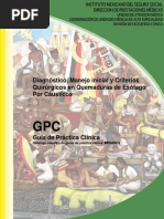 Clasificación de Zargar en Esófagitis Caústica | PDF | Vómitos | Ácido ...