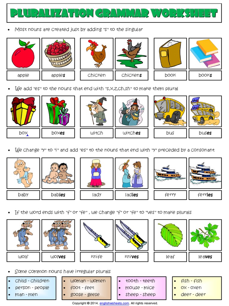 Pluralization Rules Esl Grammar Worksheet | PDF | Plural | Morphology