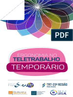 NR 17 - Ergonomia Do Teletrabalho