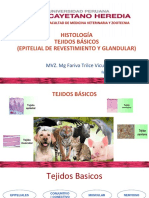 Histología Tejidos Básicos (Epitelial de Revestimiento y Glandular) T 19 Del 08