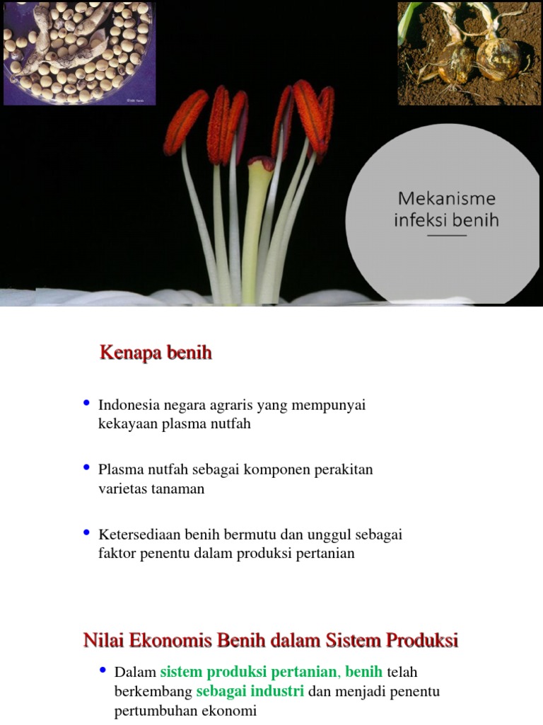 II. Mekanisme Infeksi Patogen Tular Benih | PDF
