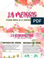La Miosis PDF