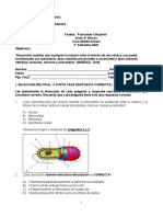 Prueba. 8 Año Básico. 2022. Funciones Celulares. Sc. Forma A