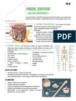 Parcial Anatomia Sistema Tegumentario y Oseo