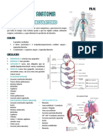 Parcial Anatomia Sistema Circulatorio