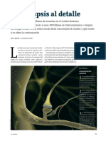 La Sinapsis PDF E.R