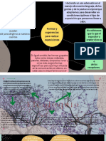 Formas y Sugerencias para Realizar Exposiciones