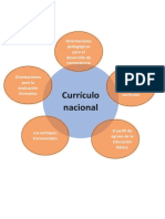 Organisador Frafico Curriculum