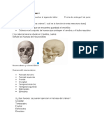 Taller Cráneo Biomédicas I Semestre I-2022