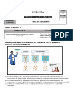 Tarea Autentica-Castillo Botton