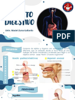 Aparato Digestivo: Univ. Masiel Zuna Gallardo