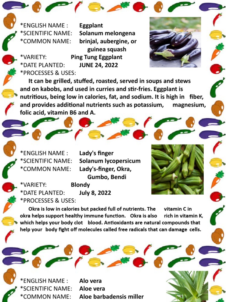 1x1 Vegetable and Herbal Label Tarp | PDF | Turmeric | Eggplant