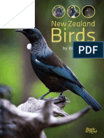 Rtr-New Zealand Birds-Online