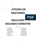 Catedra de Anatomia Bolillero Segundo Se