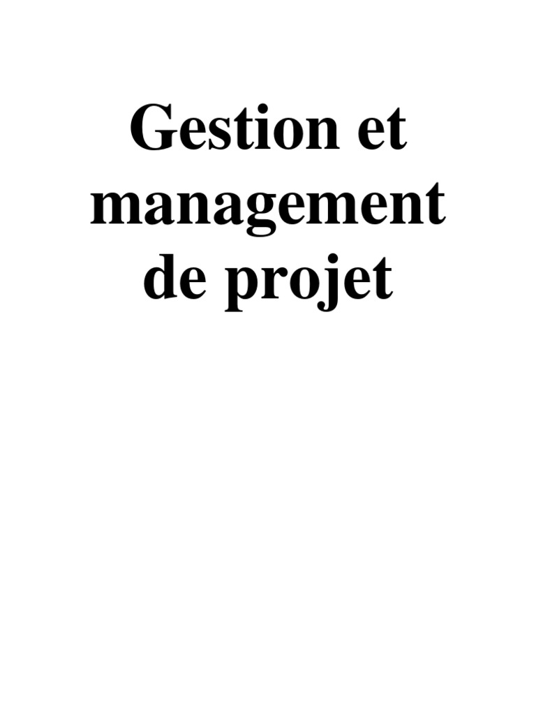comment faire un plan de management de projet