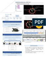 Inmunología Del Covid 19