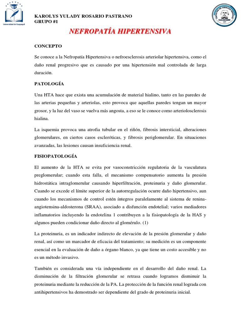 Nefropatía Hipertensiva PDF Hipertensión Causas de la muerte