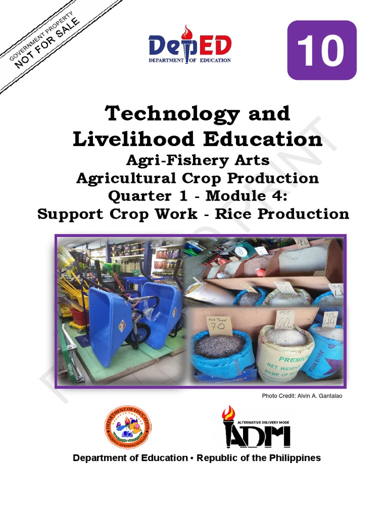 Tle10 Afa Agricrop q1 Mod4 Supportcropwork-Riceproduction v5 | PDF