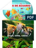 Peces de Acuario