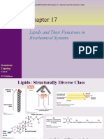 Lipids 1