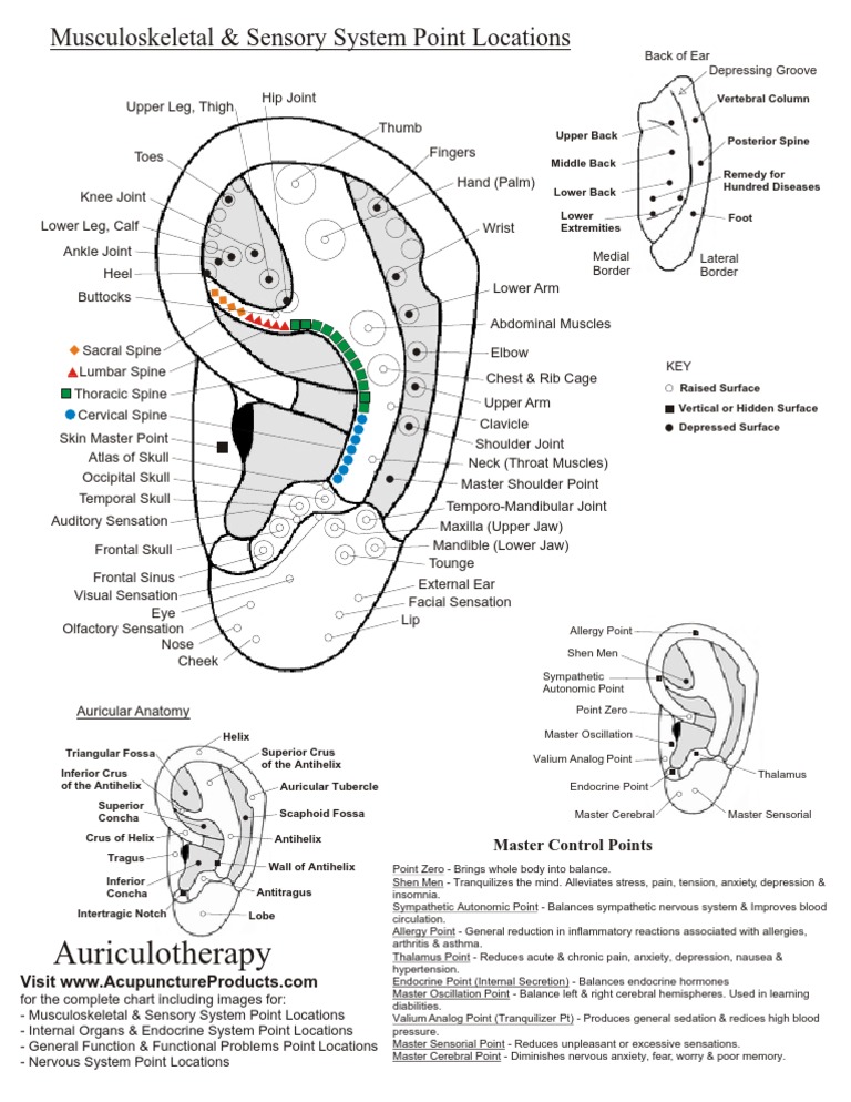 Ears Pine 2 | PDF | Self-Improvement | Science & Mathematics