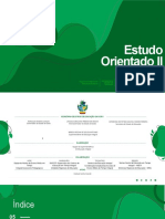 Estudo Orientado Ii - Goiás