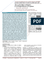 Studies On The Effect of Relative Humidity On Fungal Diseases of Legumes