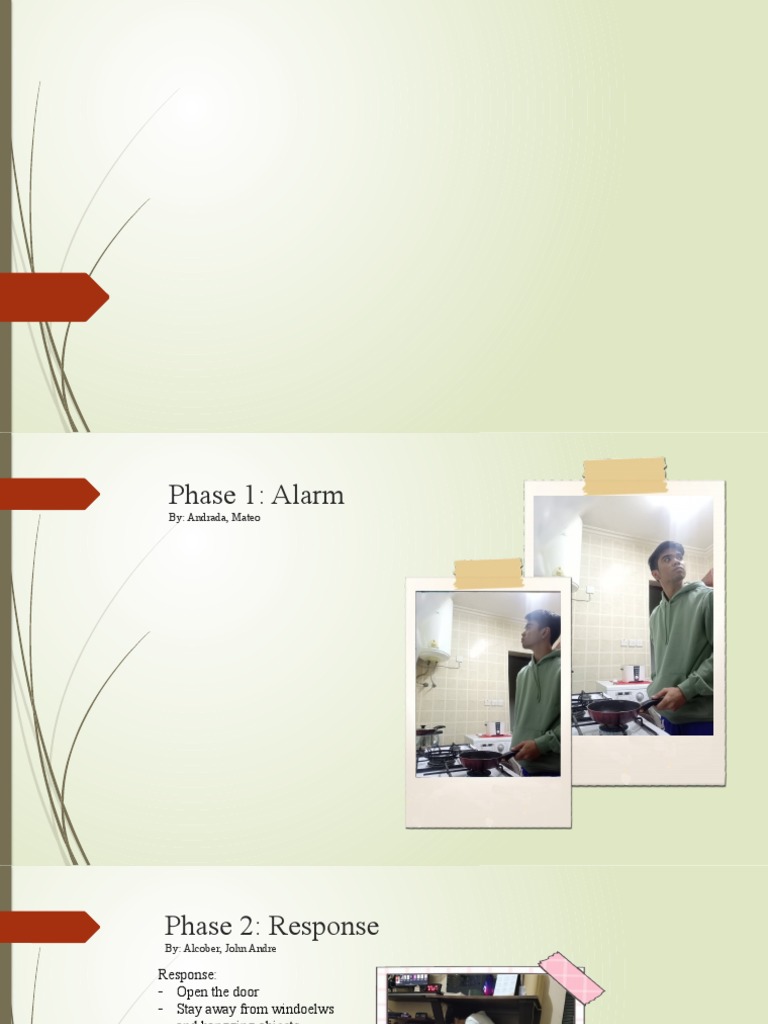 DRR PPT | PDF