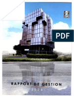 Rapport de Gestion 2008