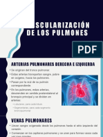 Vascularización e Inervación de Los Pulmones