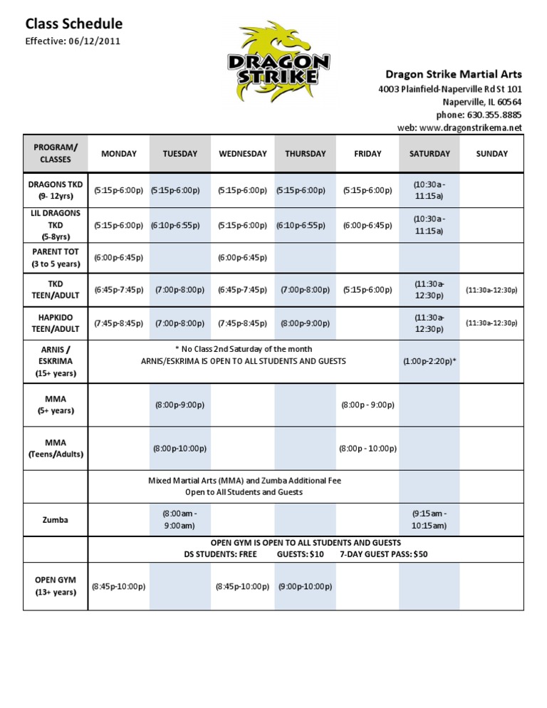 Dragon Strike Martial Arts Class Schedule | PDF