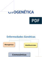 Citogenética