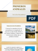 Primeros Animales - Liz Irepa