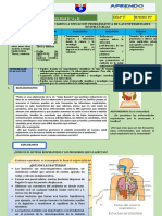 1 y 2 CT Semana 7