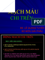 M CH Máu Chi Trên