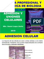 Tema 06-Adhesion y Uniones Celulares