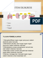 PPT. Sistem Ekskresi