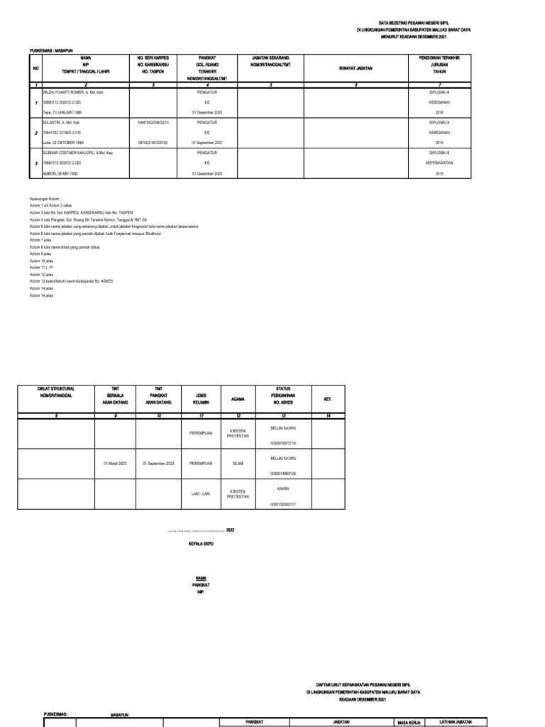 Format Data Bezetting, Data DUk,-1 | PDF