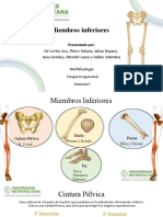 Miembros Inferiores