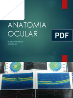 Anatomía ocular: estructuras del iris, cristalino, párpados y aparato lagrimal